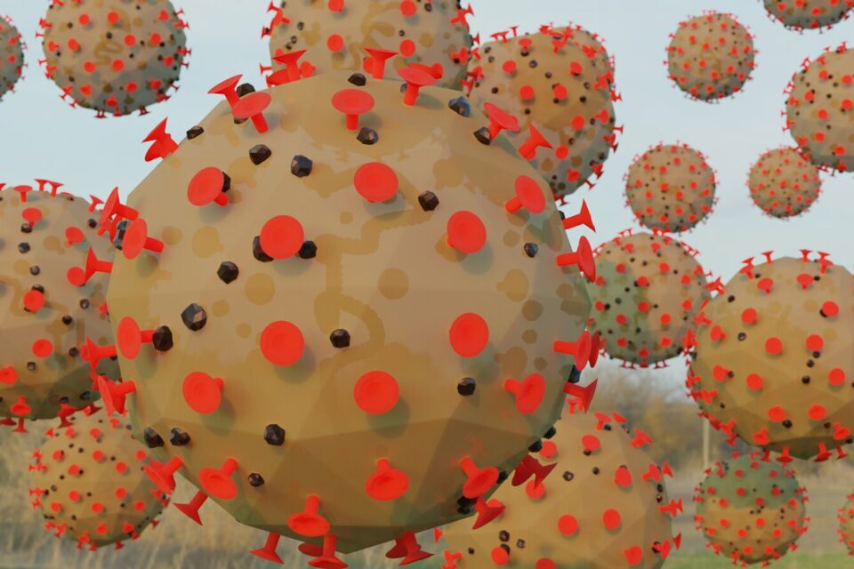Imagem fotográfica do coronavírus mostrando as proteínas
