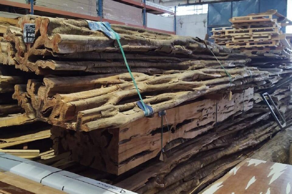 Força-tarefa apreende 500 metros cúbicos de madeira ilegal
