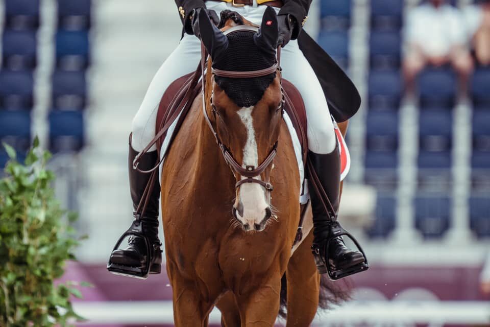 Cavalo é sacrificado após sofrer lesão nas Olimpíadas