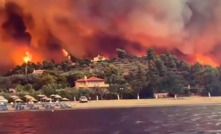 O incêndio queimou 121 hectares da floresta.